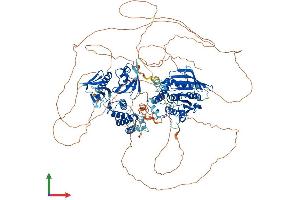 AlphaFold protein structure predicition of Human Recombinant PTPN21 Protein, UniprotID Q16825