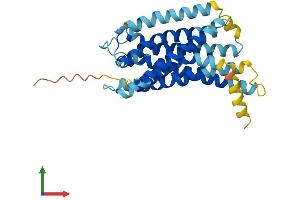 AlphaFold protein structure predicition of Human Recombinant GPR141 Protein, UniprotID Q7Z602