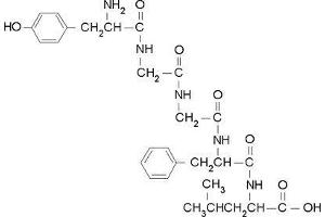 Image no. 1 for Proenkephalin (PENK) (Leu5) peptide (ABIN399895) (Proenkephalin (PENK) (Leu5) Peptide)