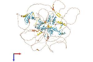 AlphaFold protein structure predicition of Human Recombinant ZNF592 Protein, UniprotID Q92610