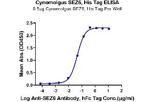 Immobilized Cynomolgus SEZ6, His Tag at 5 μg/mL (100 μL/Well) on the plate.