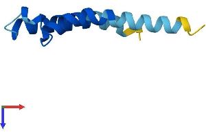 AlphaFold protein structure predicition of Mouse Recombinant Pigy Protein, UniprotID P0C1P0