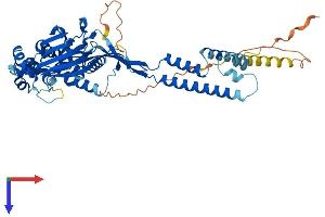 AlphaFold protein structure predicition of Human Recombinant ASIC3 Protein, UniprotID Q9UHC3