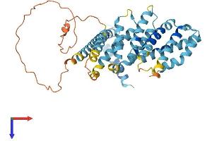 AlphaFold protein structure predicition of Human Recombinant MEI4 Protein, UniprotID A8MW99