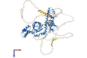 AlphaFold protein structure predicition of Human Recombinant RMI1 Protein, UniprotID Q9H9A7