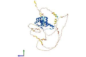 AlphaFold protein structure predicition of Human Recombinant DUX4L2 Protein, UniprotID P0CJ85