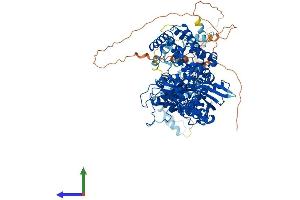 AlphaFold protein structure predicition of Human Recombinant RAG1 Protein, UniprotID P15918