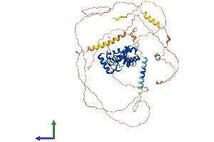 AlphaFold protein structure predicition of Human Recombinant MYB Protein, UniprotID P10242