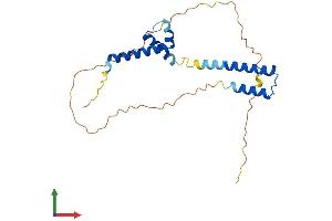 AlphaFold protein structure predicition of Mouse Recombinant Helt Protein, UniprotID Q7TS99