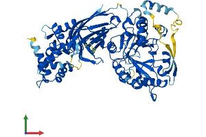 AlphaFold protein structure predicition of Mouse Recombinant Plcz1 Protein, UniprotID Q8K4D7