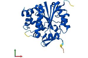 AlphaFold protein structure predicition of Human Recombinant NNMT Protein, UniprotID P40261