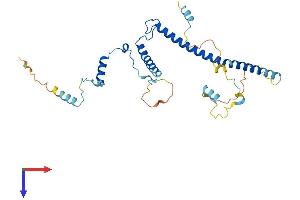 AlphaFold protein structure predicition of Human Recombinant EBNA1BP2 Protein, UniprotID Q99848