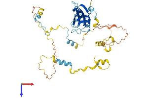 AlphaFold protein structure predicition of Human Recombinant SHD Protein, UniprotID Q96IW2