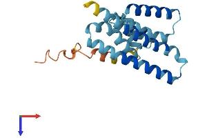 AlphaFold protein structure predicition of Human Recombinant LZIC Protein, UniprotID Q8WZA0