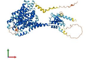 AlphaFold protein structure predicition of Human Recombinant SLC26A1 Protein, UniprotID Q9H2B4