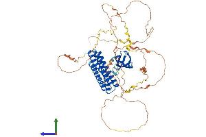 AlphaFold protein structure predicition of Human Recombinant EFS Protein, UniprotID O43281