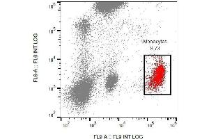 Surface staining of CD53 in human peripheral blood cells with anti-CD53 (MEM-53) PE.