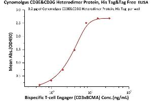 Immobilized Cynomolgus CD3E&CD3G Heterodimer Protein, His Tag&Tag Free(ABIN6973009) at 2 μg/mL, add increasing concentrations of Bispecific T cell Engager (CD3 X BCMA) and then add Biotinylated Human BCMA, Fc,Avitag™, (ABIN3137676,ABIN4369373) at 0.