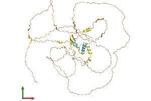 AlphaFold protein structure predicition of Human Recombinant CCDC8 Protein, UniprotID Q9H0W5