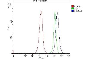 Flow Cytometry analysis of Jurkat cells using anti-SH3GL3 antibody (ABIN7603091). (SH3GL3 anticorps  (Middle Region))