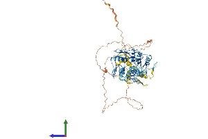 AlphaFold protein structure predicition of Human Recombinant ZNF551 Protein, UniprotID Q7Z340