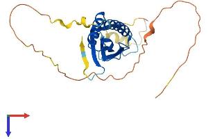 AlphaFold protein structure predicition of Mouse Recombinant Ddit4 Protein, UniprotID Q9D3F7