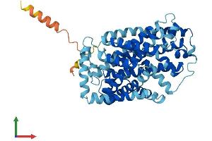 AlphaFold protein structure predicition of Human Recombinant SLC7A9 Protein, UniprotID P82251