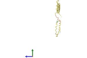 AlphaFold protein structure predicition of Mouse Recombinant Prm3 Protein, UniprotID Q62100