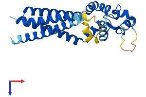 AlphaFold protein structure predicition of Human Recombinant TSPAN1 Protein, UniprotID O60635