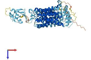 AlphaFold protein structure predicition of Human Recombinant SLC22A3 Protein, UniprotID O75751