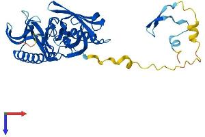 AlphaFold protein structure predicition of Human Recombinant BBS5 Protein, UniprotID Q8N3I7