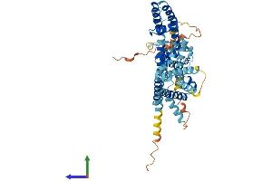 AlphaFold protein structure predicition of Mouse Recombinant Kcng1 Protein, UniprotID A2BDX4