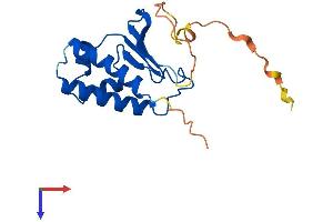 AlphaFold protein structure predicition of Mouse Recombinant Btg1 Protein, UniprotID P62325
