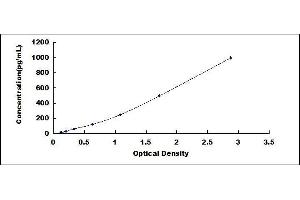 Fast Skeletal Troponin T3a (TNNT3A) ELISA Kit