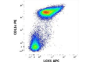 Flow cytometry multicolor surface staining pattern of human stimulated (GM-CSF + IL-4) peripheral blood mononuclear cells using anti-LOX1 (15C4) APC antibody (10 μL reagent / 100 μL of peripheral whole blood) and anti-human CD11c (BU15) PE antibody (20 μL reagent / 100 μL of peripheral whole blood). (OLR1 anticorps  (APC))