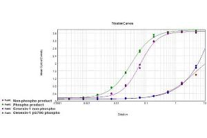 ELISA of Rabbit Anti-Cenexin-1 pS796 Antibody.
