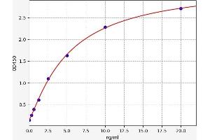 Typical standard curve (PDXK Kit ELISA)