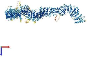 AlphaFold protein structure predicition of Mouse Recombinant Mroh2b Protein, UniprotID Q7M6Y6