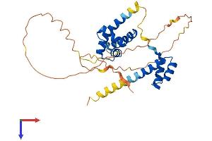 AlphaFold protein structure predicition of Mouse Recombinant Pou1f1 Protein, UniprotID Q00286
