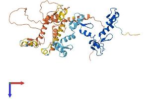AlphaFold protein structure predicition of Human Recombinant ZNF561 Protein, UniprotID Q8N587