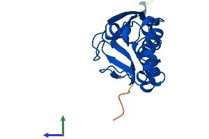 AlphaFold protein structure predicition of Mouse Recombinant Desi1 Protein, UniprotID Q9CQT7