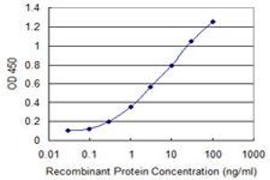 Detection limit for recombinant GST tagged PCDH10 is 0. (PCDH10 anticorps  (AA 18-127))