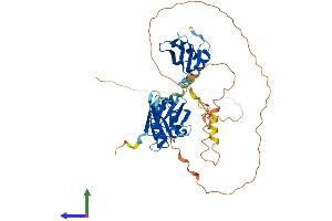 AlphaFold protein structure predicition of Human Recombinant CELF6 Protein, UniprotID Q96J87