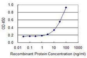 Detection limit for recombinant GST tagged MRPL1 is 1 ng/ml as a capture antibody.