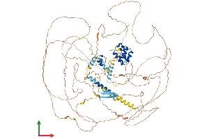 AlphaFold protein structure predicition of Human Recombinant PHC3 Protein, UniprotID Q8NDX5
