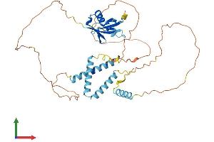 AlphaFold protein structure predicition of Mouse Recombinant Herpud1 Protein, UniprotID Q9JJK5