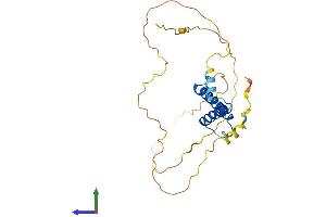 AlphaFold protein structure predicition of Mouse Recombinant Mesp1 Protein, UniprotID P97309