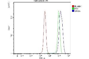 Flow Cytometry analysis of 293T cells using anti-mSin3A/SIN3A antibody (ABIN7602504). (SIN3A anticorps  (AA 8-918))