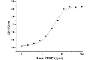 Activity Assay (AcA) image for Peptidoglycan Recognition Protein 1 (PGLYRP1) (AA 22-196) (Active) protein (His tag) (ABIN7607204)