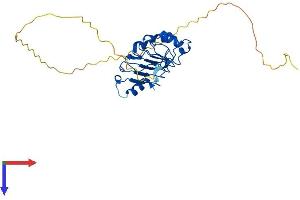 AlphaFold protein structure predicition of Human Recombinant ANP32E Protein, UniprotID Q9BTT0